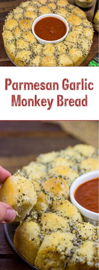 Need a great appetizer to share with friends? This Parmesan Garlic Monkey Bread is both fun and delicious!