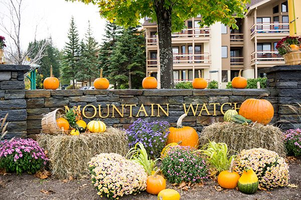 A stay at Stratton Mountain Resort during the non-ski season is one of southern Vermont's best kept secrets!