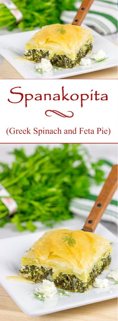 Spanakopita is a classic Greek recipe featuring layers of flaky dough stuffed with spinach and feta cheese...and it's delicious!
