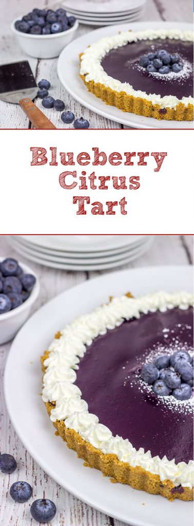 This Blueberry Citrus Tart is a fun and tasty way to highlight fresh summer blueberries!