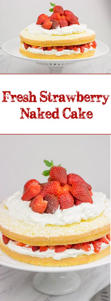 A slice of this Fresh Strawberry Cake is a wonderful (and tasty!) way to end a warm summer day!