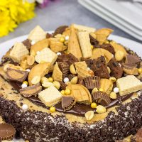 Summer is just around the corner! Celebrate with a slice of this Chocolate Peanut Butter Ice Cream Freak Cake!
