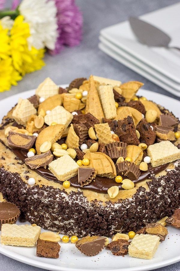 Summer is just around the corner!  Celebrate with a slice of this Chocolate Peanut Butter Ice Cream Freak Cake!