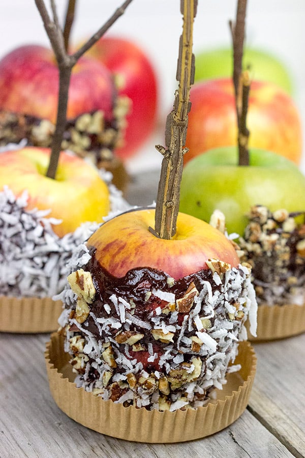 Celebrate Autumn with a visit to a nearby apple orchard and a homemade batch of these Chocolate Dipped Apples!