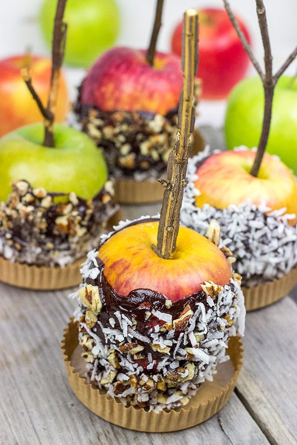 Celebrate Autumn with a visit to a nearby apple orchard and a homemade batch of these Chocolate Dipped Apples!