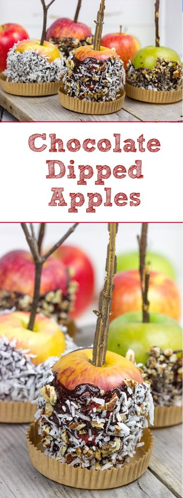 Celebrate Autumn with a visit to a nearby apple orchard and a homemade batch of these Chocolate Dipped Apples!