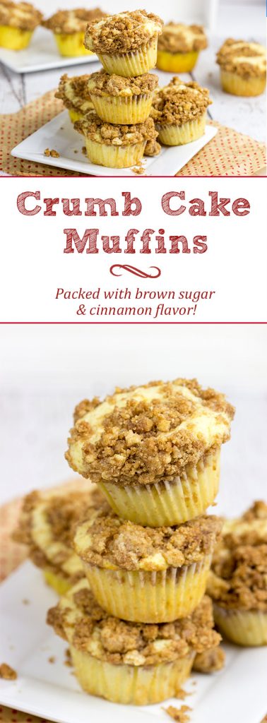 Do you love brown sugar and cinnamon? Then these Crumb Cake Muffins are calling your name! They're packed with flavor, and they can be served as breakfast or dessert!