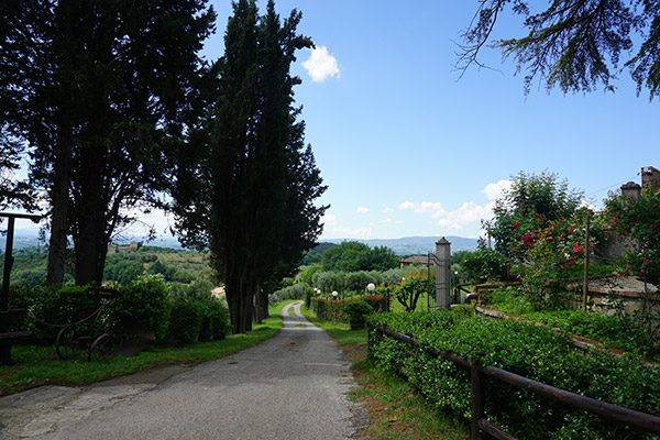 Truffle hunting in Italy!