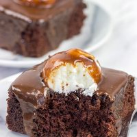 These Chocolate Marshmallow Radio Bars feature a chocolate cake base topped with a scoop of marshmallow buttercream...oh yeah, and then they're covered in a chocolate glaze!