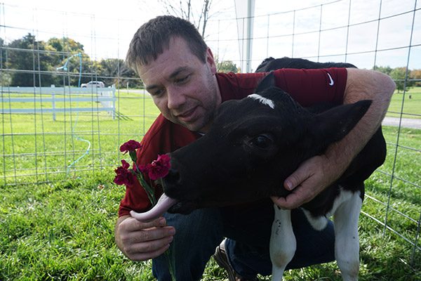 New York Dairy Tour (Finger Lakes region)