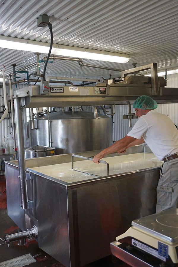 New York Dairy Tour (Finger Lakes region)