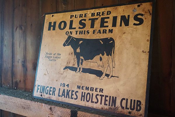New York Dairy Tour (Finger Lakes region)
