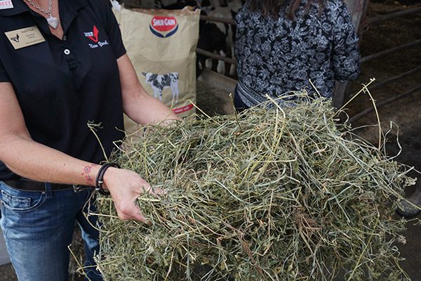 New York Beef Trip 2018