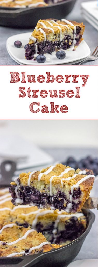 Topped with a cornmeal and brown sugar streusel, this Blueberry Streusel Cake is a delicious recipe for breakfast, brunch or dessert!  