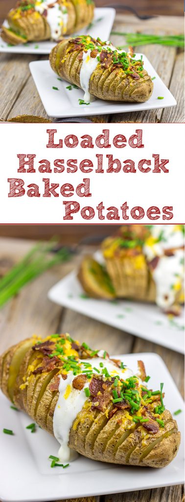 These Loaded Hasselback Baked Potatoes are a fun twist on a baked potato. Crispy edges, soft inside...and they're topped with bacon and cheese!