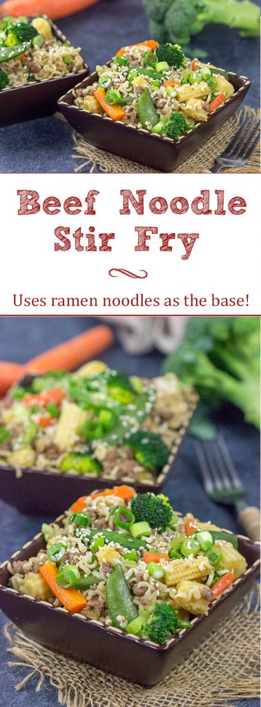 Looking for a fun way to use ramen packets? Grab some veggies and whip up a batch of this tasty Beef Noodle Stir Fry!