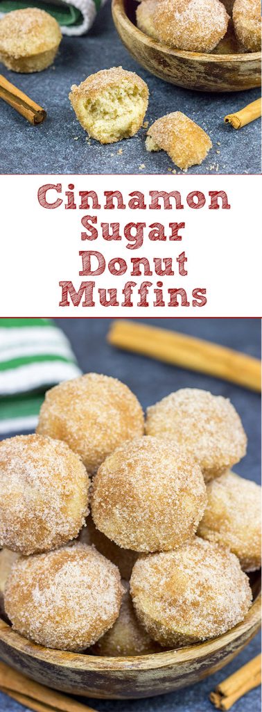 These Cinnamon Sugar Donut Muffins are an easy and delicious recipe...and they're the perfect size for popping into your mouth!