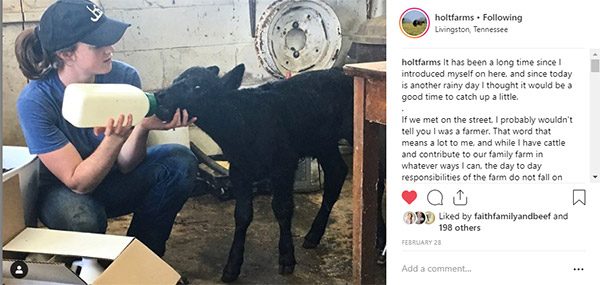 Holt Farms