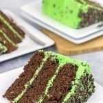 This Mint Chocolate Chip Cake features three layers of decadent chocolate cake covered by a delicious mint green frosting.  Grab a slice for dessert tonight!