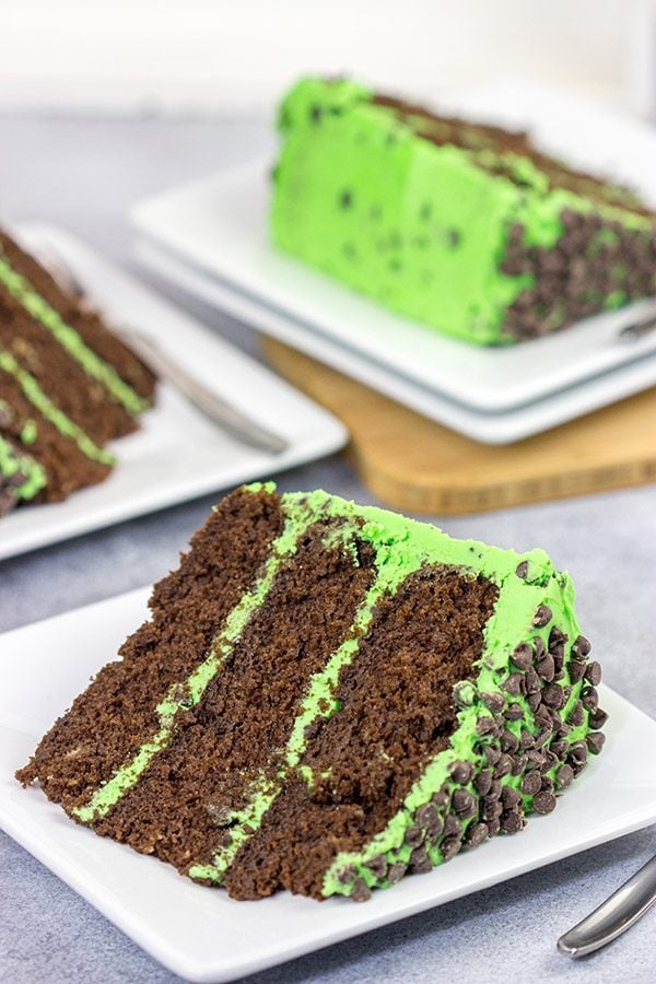 This Mint Chocolate Chip Cake features three layers of decadent chocolate cake covered by a delicious mint green frosting. Grab a slice for dessert tonight!