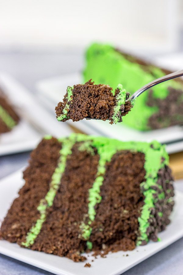 This Mint Chocolate Chip Cake features three layers of decadent chocolate cake covered by a delicious mint green frosting.  Grab a slice for dessert tonight!