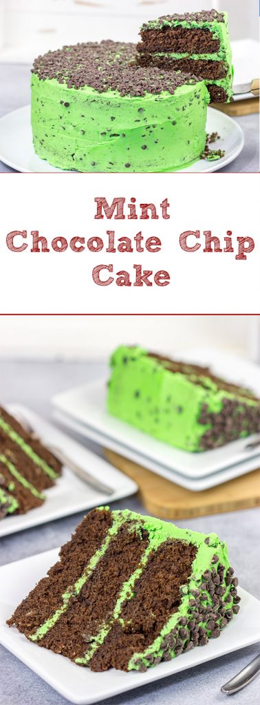 This Mint Chocolate Chip Cake features three layers of decadent chocolate cake covered by a delicious mint green frosting. Grab a slice for dessert tonight!