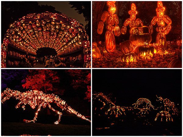 Great Jack O'Lantern Blaze in upstate New York