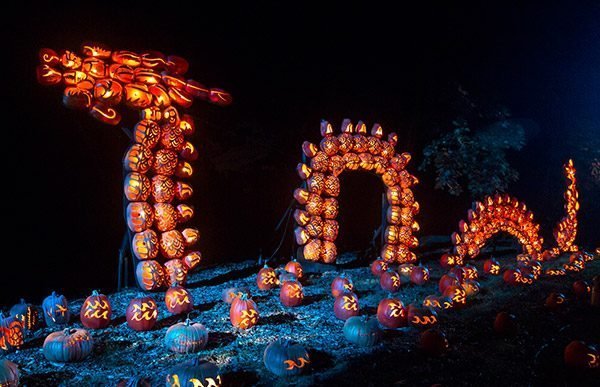 Great Jack O'Lantern Blaze in upstate New York