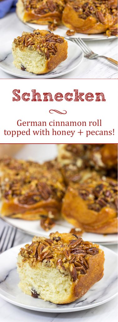 Arguably the predecessor of American cinnamon buns, Schnecken are a German pastry topped with a gooey, honey pecan mixture...and they're delicious!