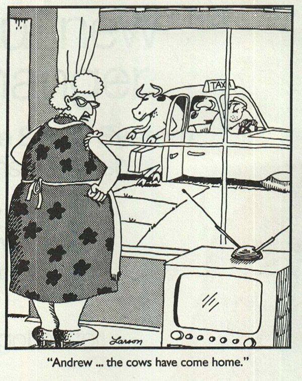 Far Side Until the Cows Come Home