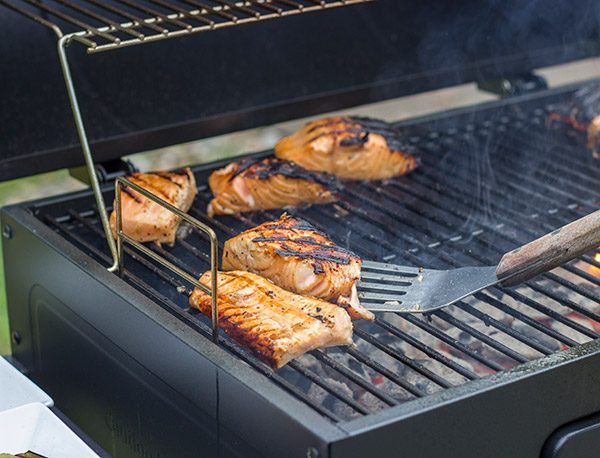 Turn up the dial on the grilled flavor with this Grilled Honey Lime Salmon with Grilled Veggies! This easy recipe is perfect for summer grilling in the backyard!