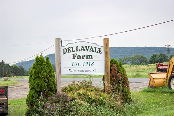 Dellavale Farm: a Cabot farm in Pattersonville, NY