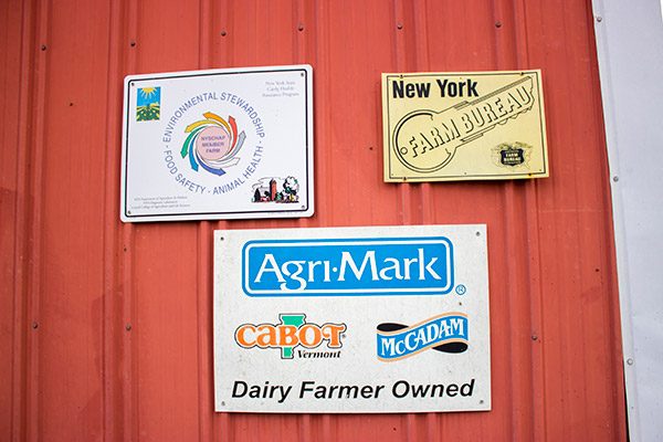 Dellavale Farm: a Cabot farm in Pattersonville, NY