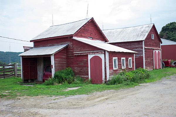 Dellavale Farm: a Cabot farm in Pattersonville, NY