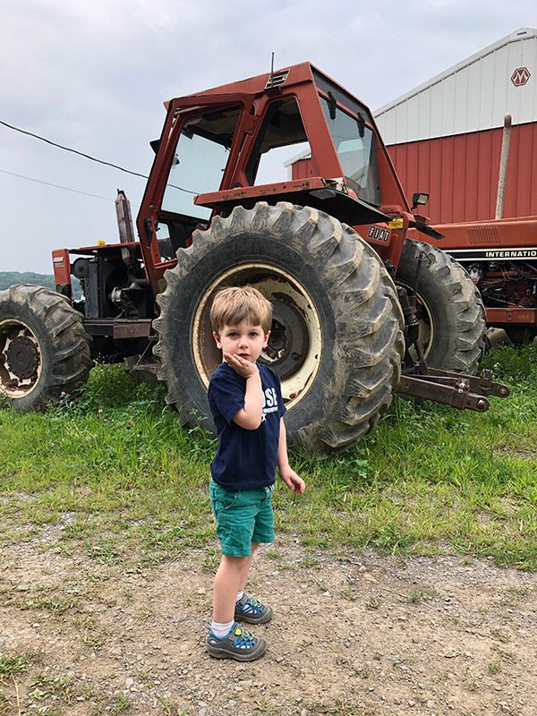 Dellavale Farm: a Cabot farm in Pattersonville, NY