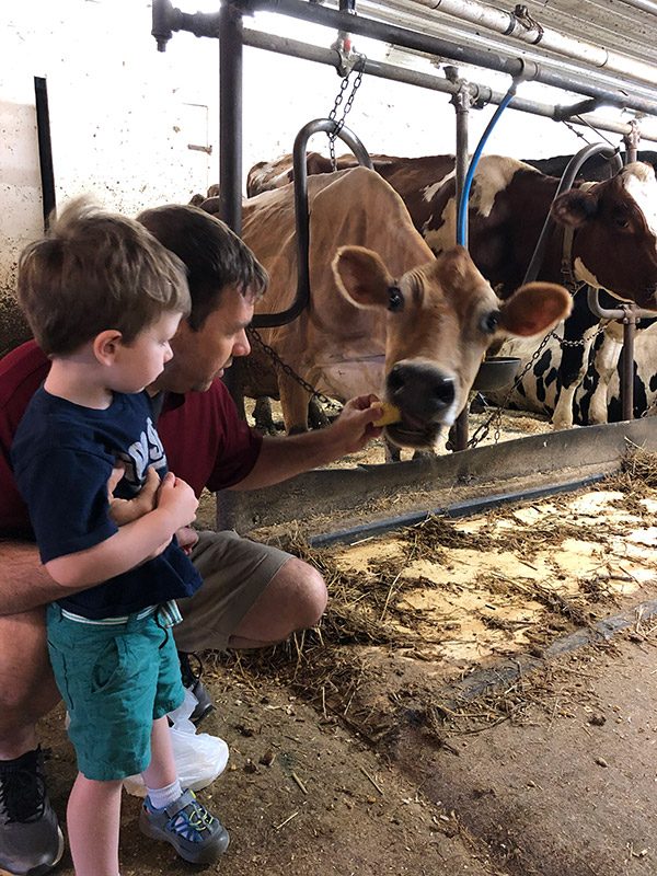 Dellavale Farm: a Cabot farm in Pattersonville, NY