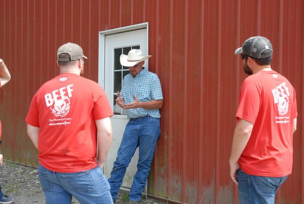 Walbridge Farm