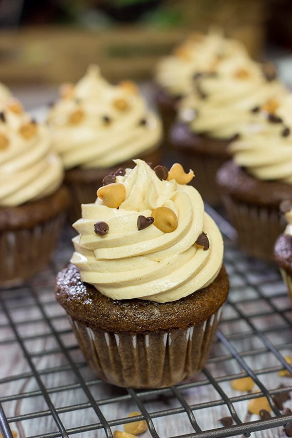 These Chocolate Peanut Butter Cupcakes are a classic sweet treat.  Topped with a creamy frosting, these cupcakes are sure to be a hit in your house!