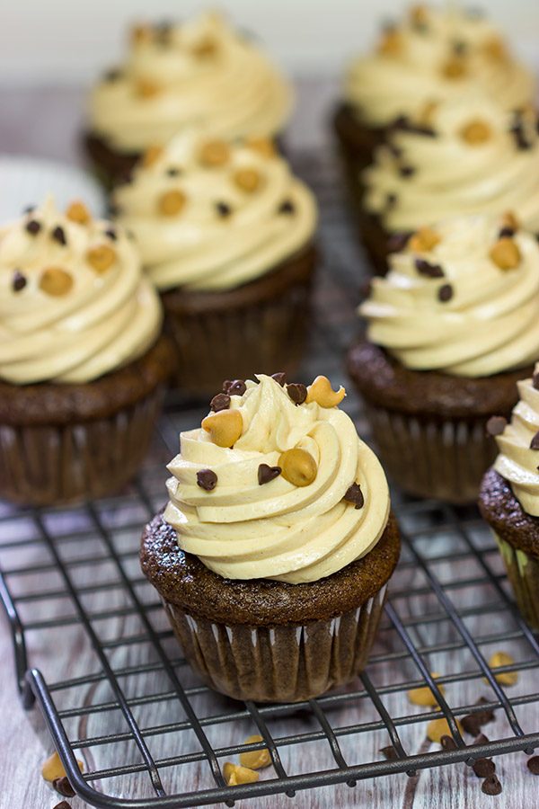 These Chocolate Peanut Butter Cupcakes are a classic sweet treat.  Topped with a creamy frosting, these cupcakes are sure to be a hit in your house!