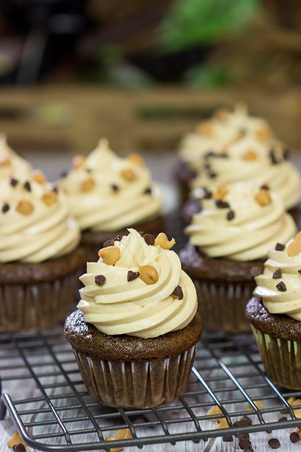 These Chocolate Peanut Butter Cupcakes are a classic sweet treat.  Topped with a creamy frosting, these cupcakes are sure to be a hit in your house!