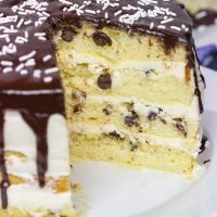 Why should cookies get to have all of the fun? This Chocolate Chip Cake features chocolate chips baked right into the cake!