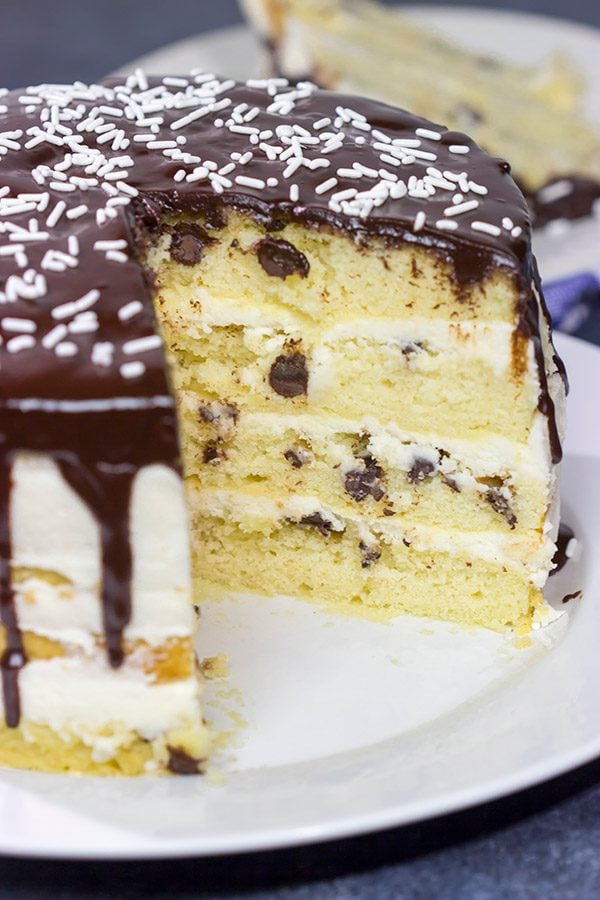 Chocolate Chip Cake