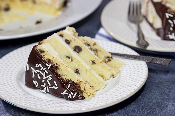 slice of chocolate chip cake