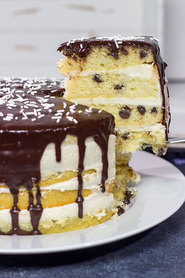 easy chocolate chip cake slice