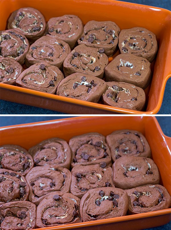 Inspired by two favorite winter recipes, these Hot Cocoa Cinnamon Rolls feature chocolaty rolls drizzled with a marshmallow glaze.  They're perfect for cold winter days!