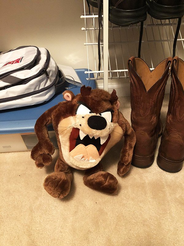 Tasmanian Devil stuffed animal