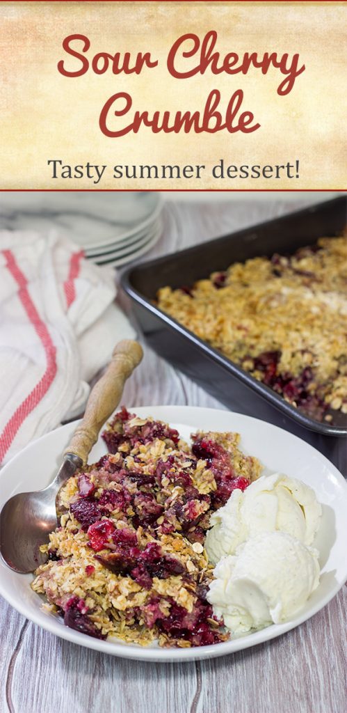 Topped with brown sugar and oats, this Sour Cherry Crumble is a tasty way to enjoy summer fruit! Just don't forget the ice cream!