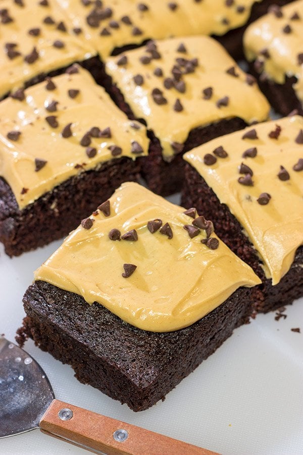This Chocolate Cake with Peanut Butter Frosting is moist, delicious and super easy to make!  Plus, you probably have all of the ingredients in your pantry right now!