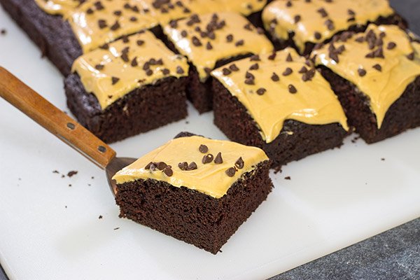 This Chocolate Cake with Peanut Butter Frosting is moist, delicious and super easy to make!  Plus, you probably have all of the ingredients in your pantry right now!