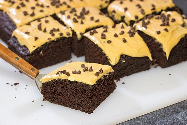 This Chocolate Cake with Peanut Butter Frosting is moist, delicious and super easy to make!  Plus, you probably have all of the ingredients in your pantry right now!